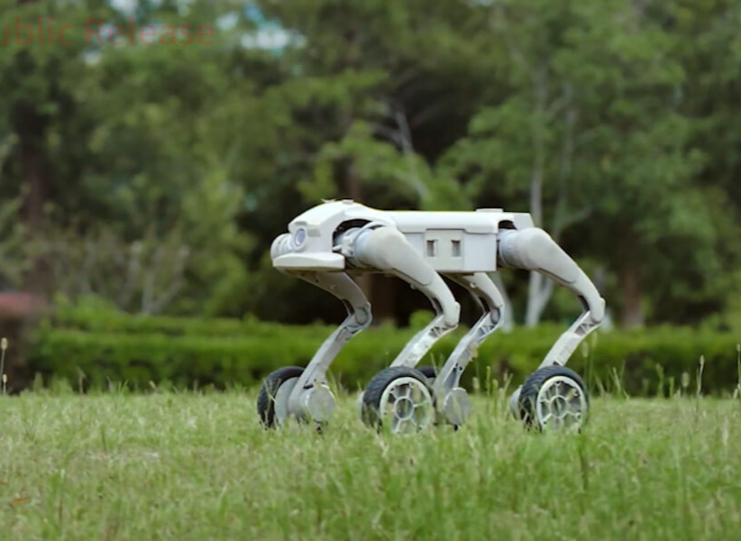 Inchbot L1-W EDU на газоне
